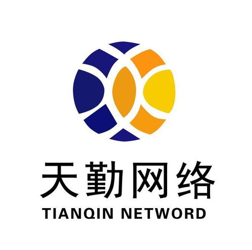 福州天勤網絡科技 技術驅動創新，賦能未來網絡開發