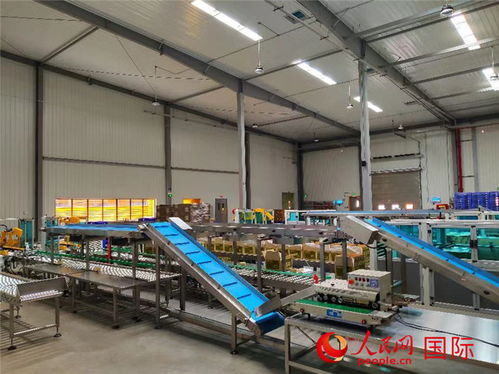 洽洽首座海外工廠投產(chǎn) 年產(chǎn)能3萬噸，劍指全球市場